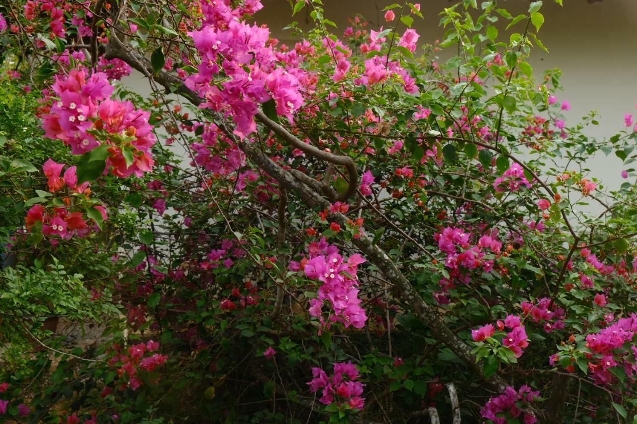 Magnolia Guesthouse Varkala Buitenkant foto